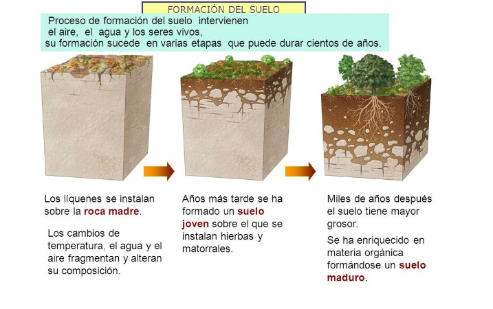 Esquema formación del suelo